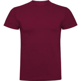 Koszulka bawełniana Regio PRO