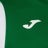 Koszulka JOMA DINAMO zielono-biała 100446.450
