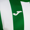 Koszulka JOMA INTER CLASSIC zielono-biała 103250.452