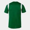 Koszulka JOMA DINAMO zielono-biała 100446.450